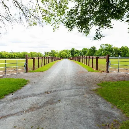 Grand Roi * Navan