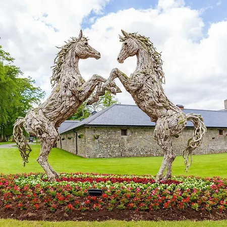 Grand Roi