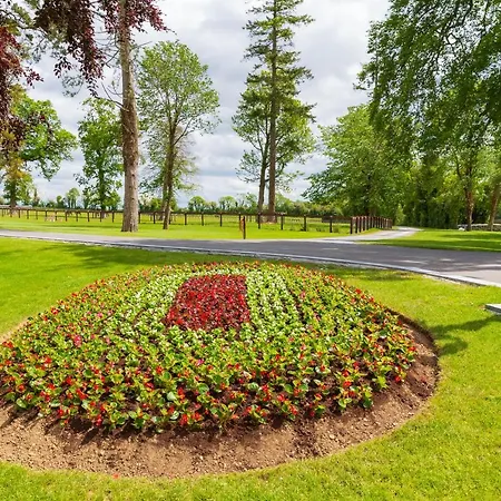 Grand Roi Navan